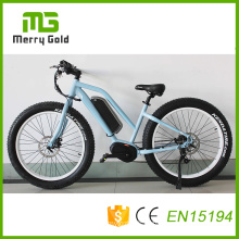 MID Drive Ebike 350W Cool Fat Tyre Electric Bike Bicycle